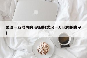 武汉一万以内的毛坯房(武汉一万以内的房子)