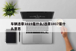 车辆违章1019是什么/违章1017是什么意思